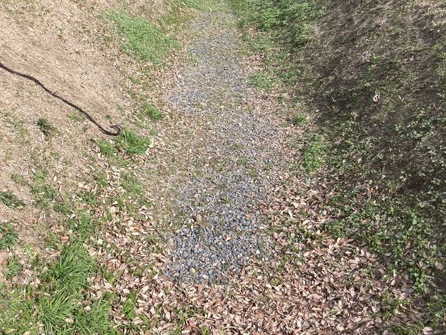 �_���_�Еt�߂Ŕ��@���ꂽ��x_��������Ձi������������j