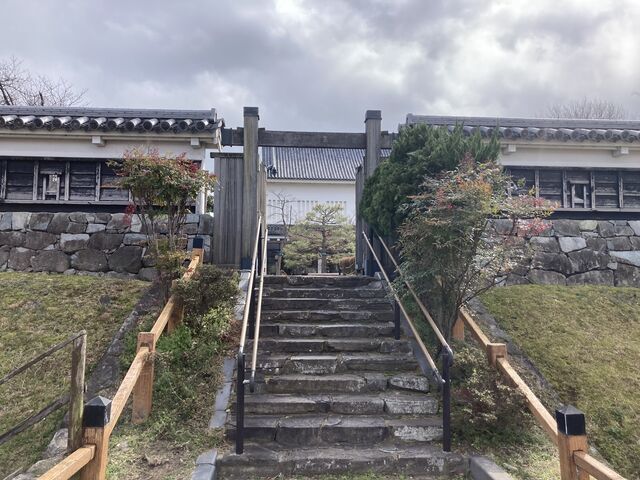 ���G���E�o�����k��B���̂��Ɨ������Ҏ��Ɉ����܂��B_��������Ձi������������j