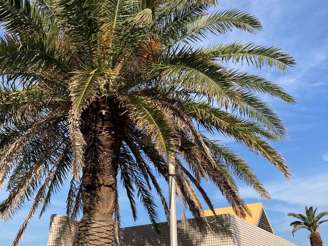 �Ȃ��������E�ɓ��I�����W�r�[�`_�Ȃ��������E�ɓ��I�����W�r�[�`