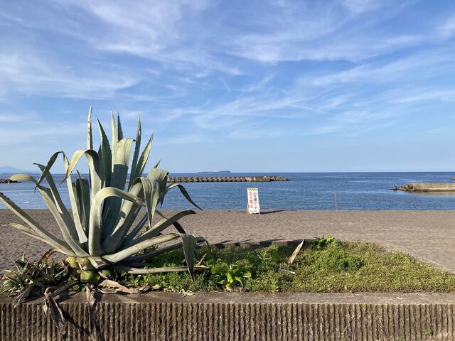 �Ȃ��������E�ɓ��I�����W�r�[�`_�Ȃ��������E�ɓ��I�����W�r�[�`