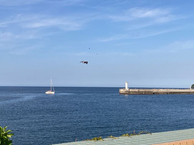 �Ȃ��������E�ɓ��I�����W�r�[�`_�Ȃ��������E�ɓ��I�����W�r�[�`