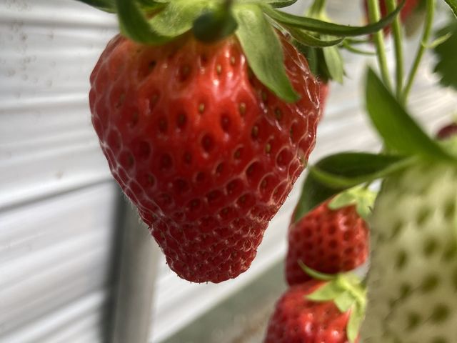 ������_�O�����������ّO�c