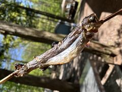 P̐Xƌ΂̊y Workshop Camp Resortւ̓eʐ^2