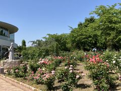 ako̓̉w ߂ʂ܂ւ̓eʐ^1