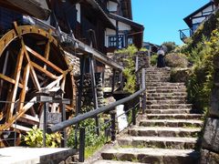 ǂ肽񂳂̔nďhւ̓eʐ^1