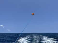 񂳂̋{ÓpZ[O all good marine 385ւ̓eʐ^1