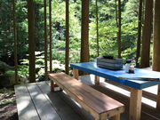 e҂GEMS GRILL̓eʐ^1