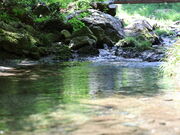 e҂GEMS GRILL̓eʐ^2