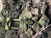 �|�����񂳂�̓V�_�̑�̓��e�ʐ^1