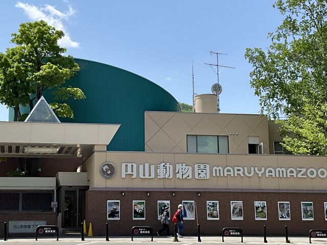 �~�R������