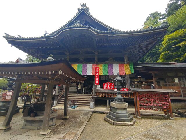 ���i_�����{��