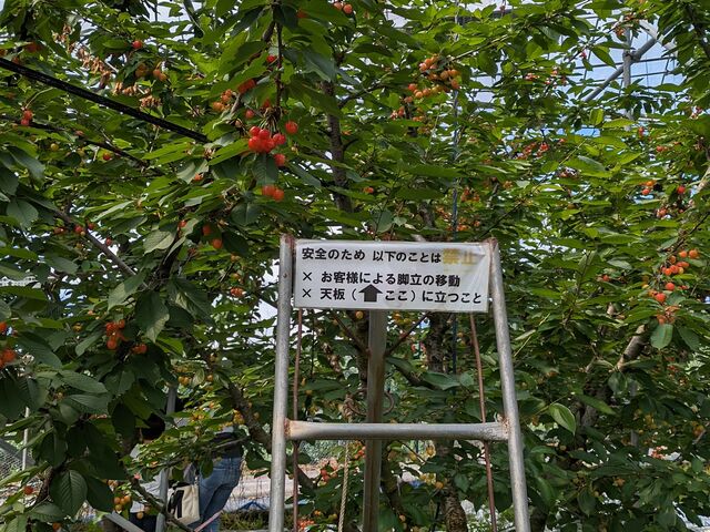 �����ꏊ������́A�r�����g���Ď��܂��B_�������ڎ��E�t���[�c�����_��