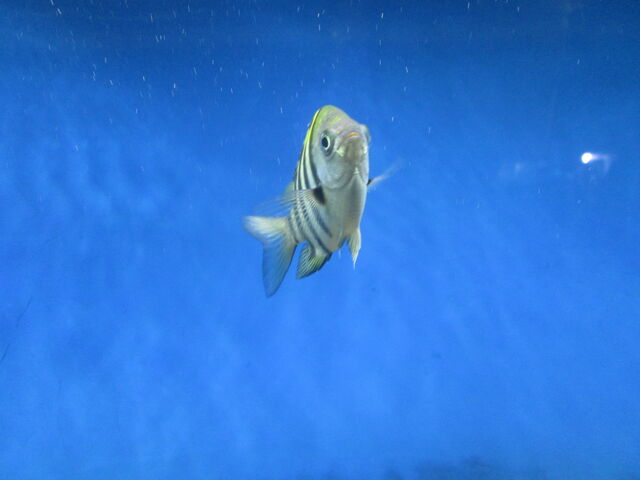 �����̋�_�Ȃ���������