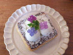 jR񂳂̂EEqւ̓eʐ^1