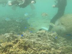 ݂DIVE IN CHATANւ̓eʐ^1