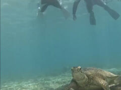 k̃RY~bNA[Xւ̓eʐ^1