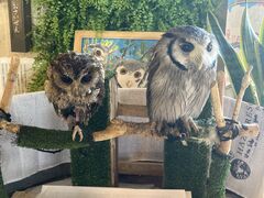 ̂܂}}̘ã][g͂Âւ̓eʐ^2