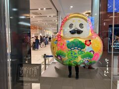 �䂤�}�}����̋���w�ό��ē����ւ̓��e�ʐ^1