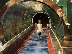 ̉w ݂ȂݐIsق̎ʐ^1