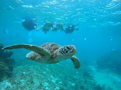 񂳂̃I[X[Vm[P{Óւ̓eʐ^1