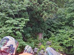 ӂ񂿂̃Oh@RIB Tripւ̓eʐ^1