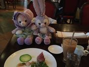 烊̃XgeEfBEJibg̓eʐ^4