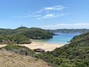 �Ðh�F����̒C�m���C������̓��e�ʐ^4