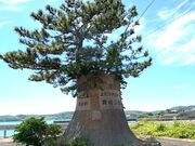 �Ðh�F����̐������̓��e�ʐ^2