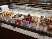 yosshỷP[LH[ ˂̓eʐ^1