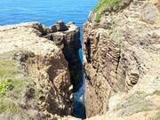 �Ðh�F����̎փ��J�̓��e�ʐ^4