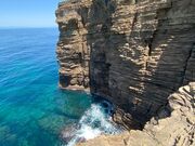 �Ðh�F����̎փ��J�̓��e�ʐ^5