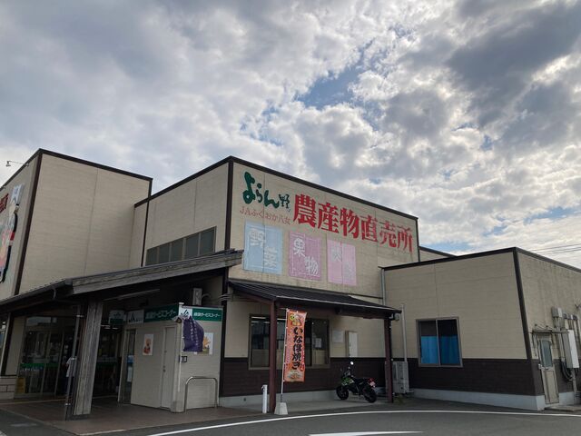 �_�Y�������������_�_�Y�������������