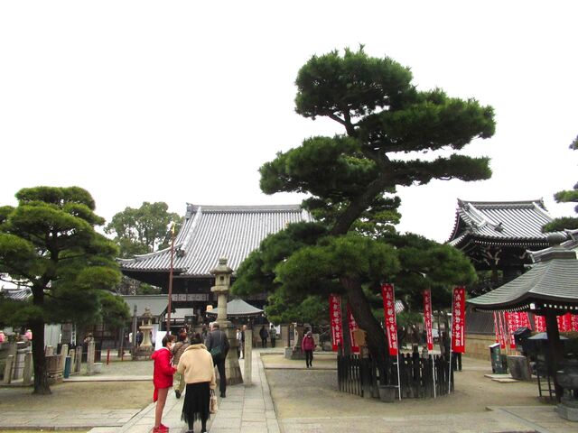 QȄ́ȀiO؂̏jƌĂ΂B_䎛{