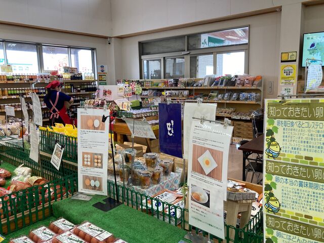 �_�Y�������������_�_�Y�������������