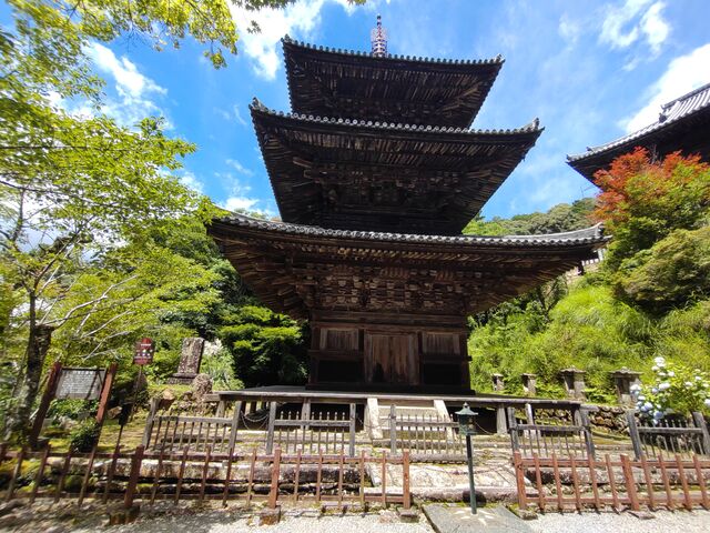 法華山一乗寺三重塔】アクセス・営業時間・料金情報 - じゃらんnet