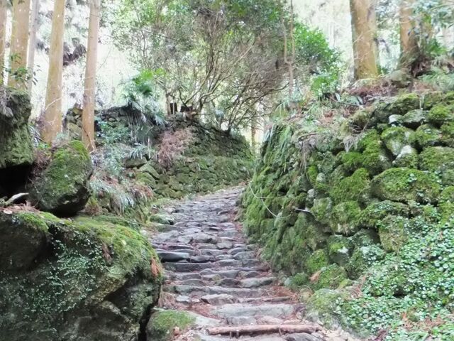 �F��Ó��̂悤�ȕ��͋C�̎Q��_�����R�{����