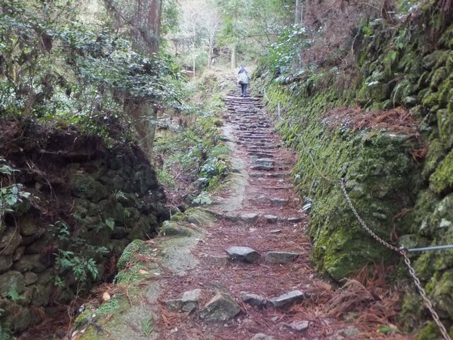 �肷�����̍��������Ă��܂��B_�����R�{����