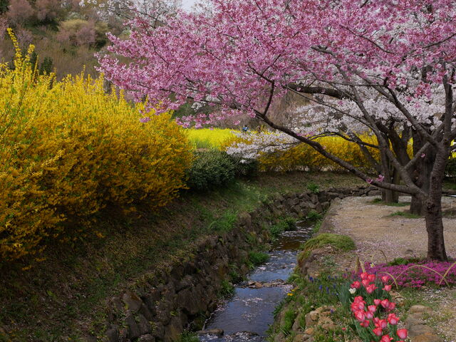 �����t�߂̕��i�ł�_�Ԍ��R����