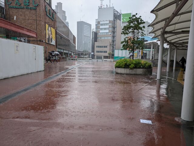 ����JR�V���w�A�E���̉��ɂ�肩���߂̉w�B�����t���ʘH���E�Ɍ����܂��B_��肩����