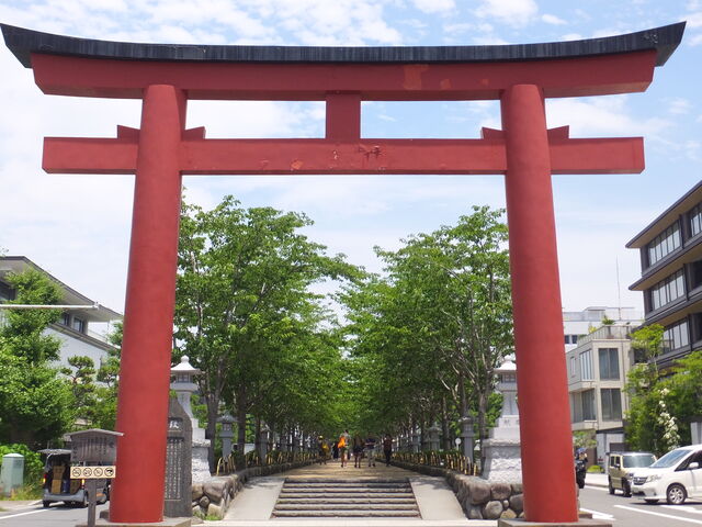 ��̒���_�i��