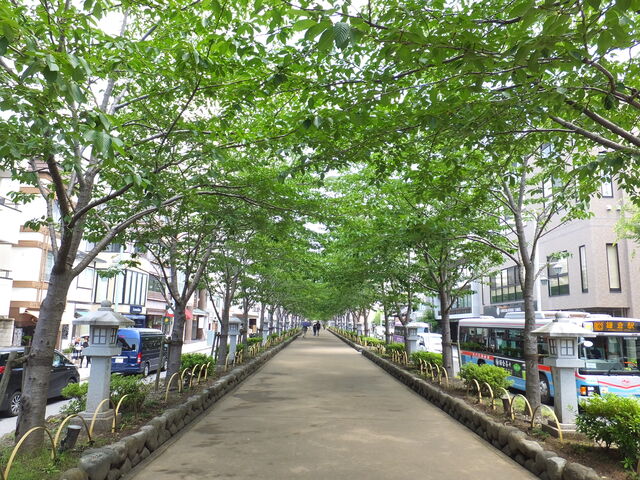 �i���̗΂̃g���l��_�i��