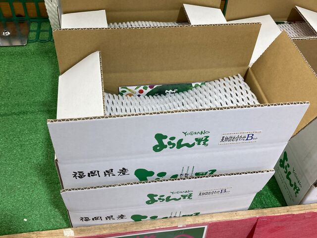 �_�Y�������������_�_�Y�������������