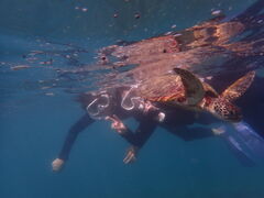 Yoshinico {Óւ̓eʐ^1