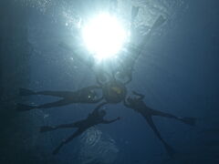 ẽ}T[rXނʁ[ւ̓eʐ^1