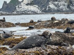 �݂���̃R���u�{�[�g�N���[�Y�ւ̓��e�ʐ^1