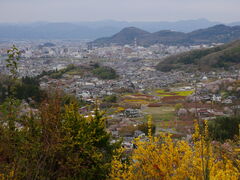 �����񂳂�̉Ԍ��R�����ւ̓��e�ʐ^1