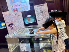 ̉w ݂ȂݐIsق̎ʐ^1