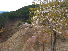 �L������̋g��R�ւ̓��e�ʐ^1