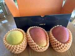 OwnVẽu[^[gt@[ Blue Turtle Farmւ̓eʐ^4