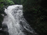 ۂ񂱂rd̋ȋ̓eʐ^1